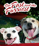 The Fast and The Furriest